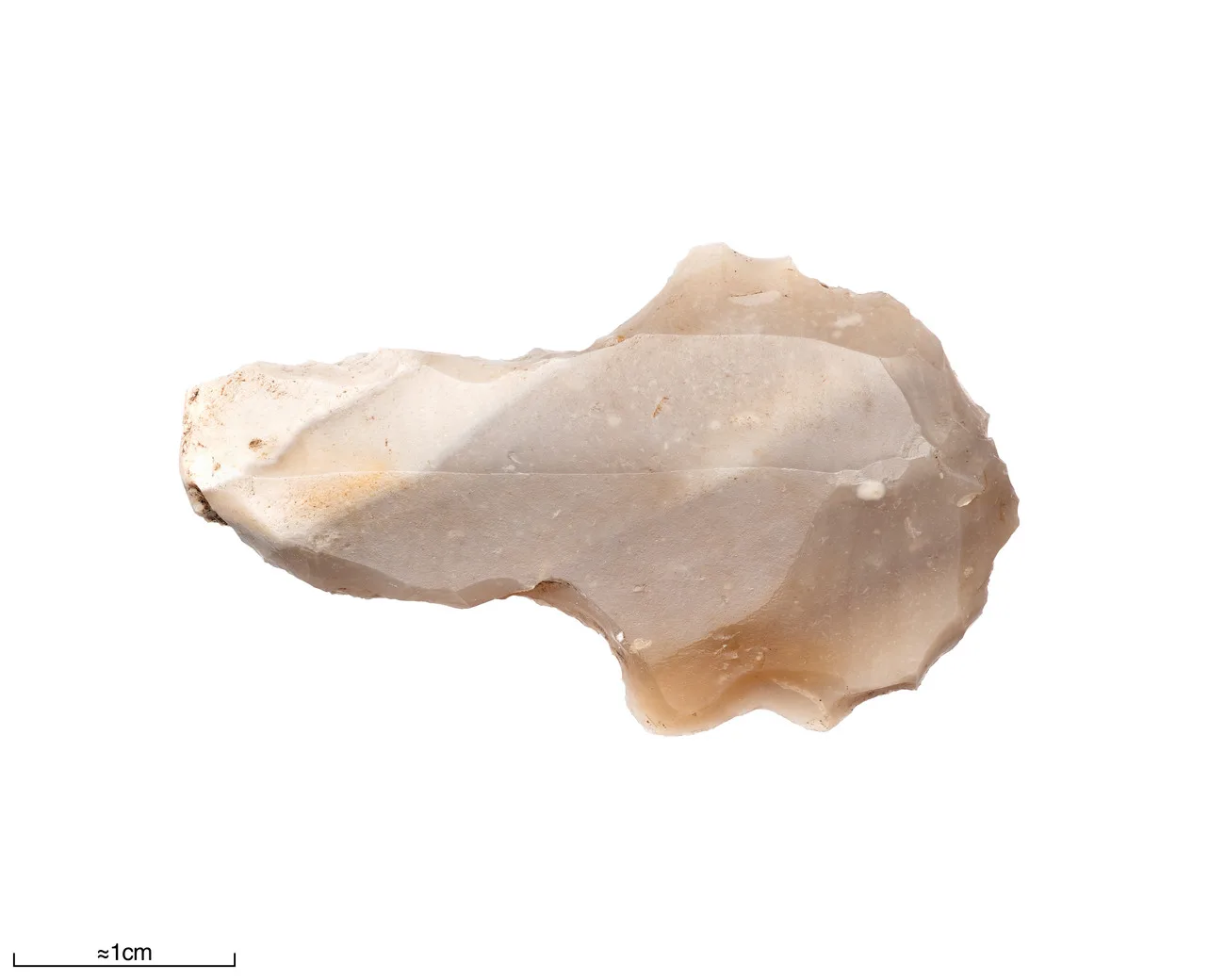 Spoon-shaped flint scraper