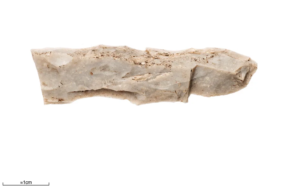 Square-sectioned flint axe