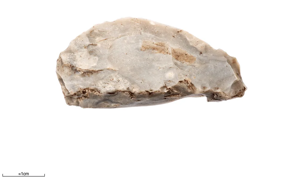 Flint axe head with polished surface