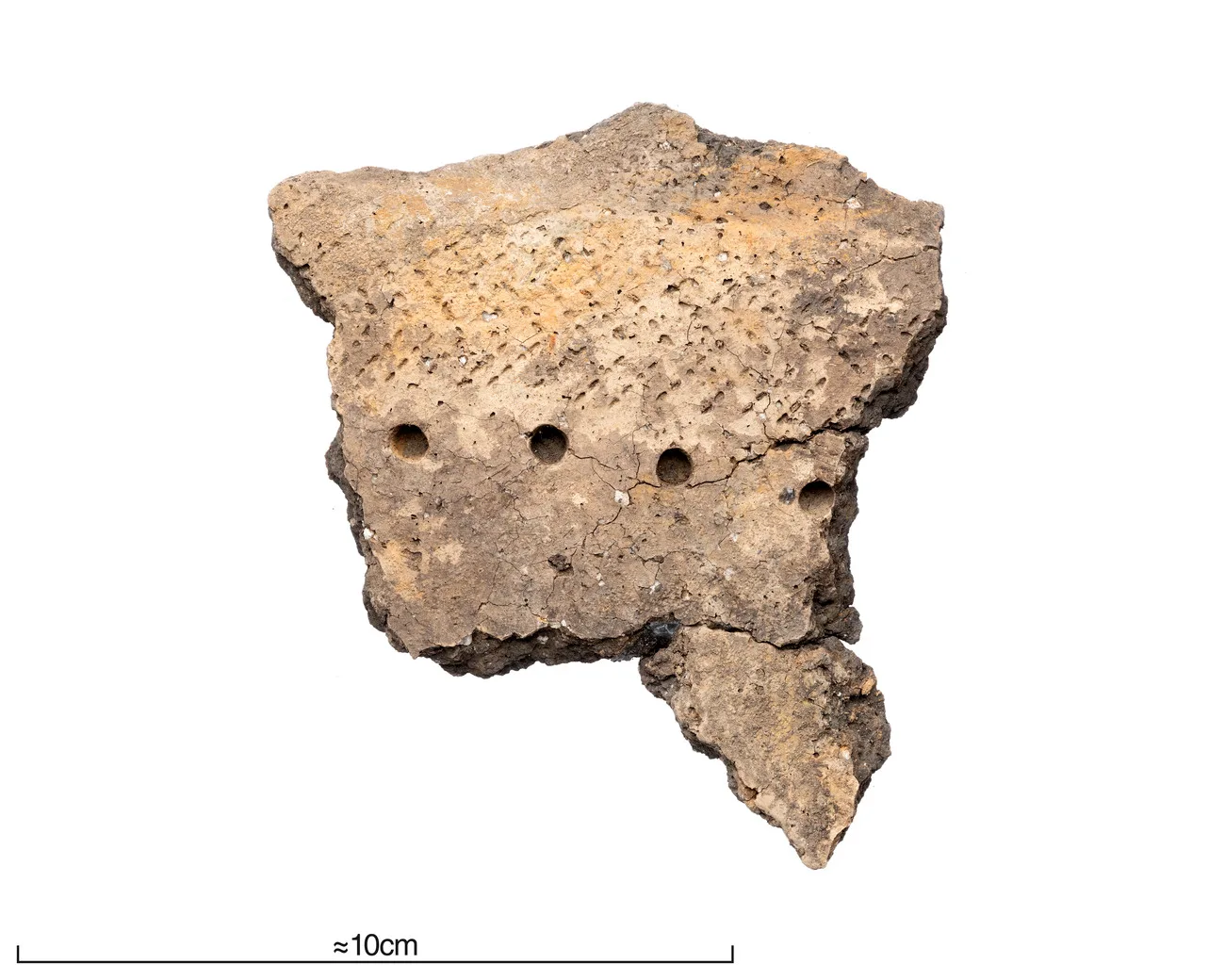 piece of pitted ware culture pottery with holes and decorations