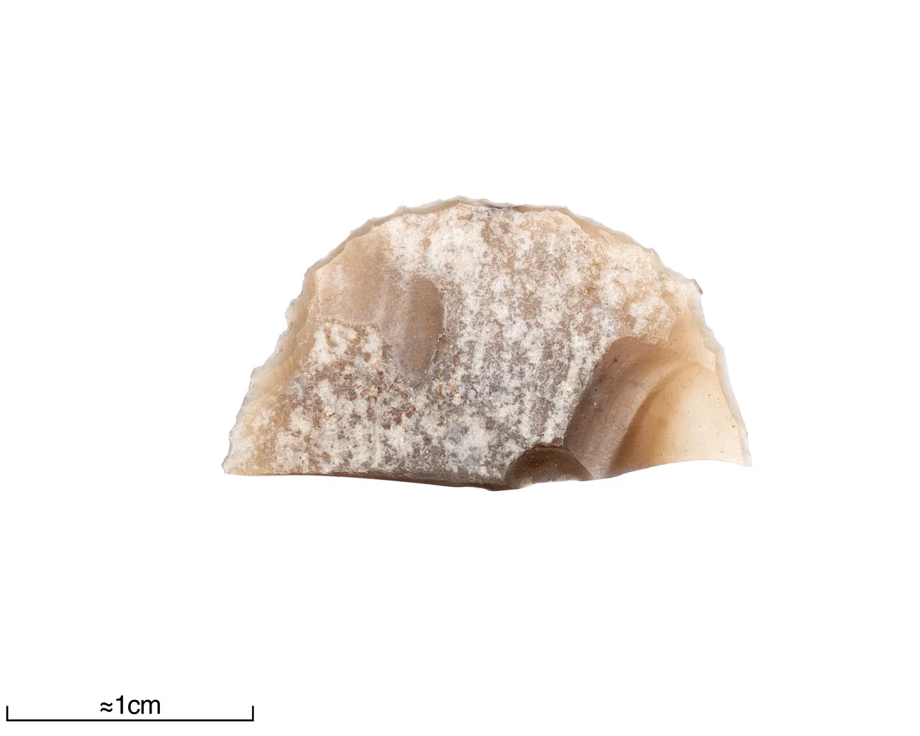 Flint scraper with round form and polished surface