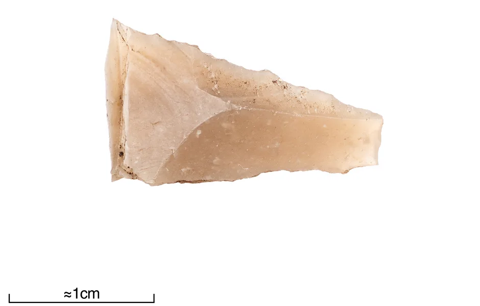 Flint transverse point