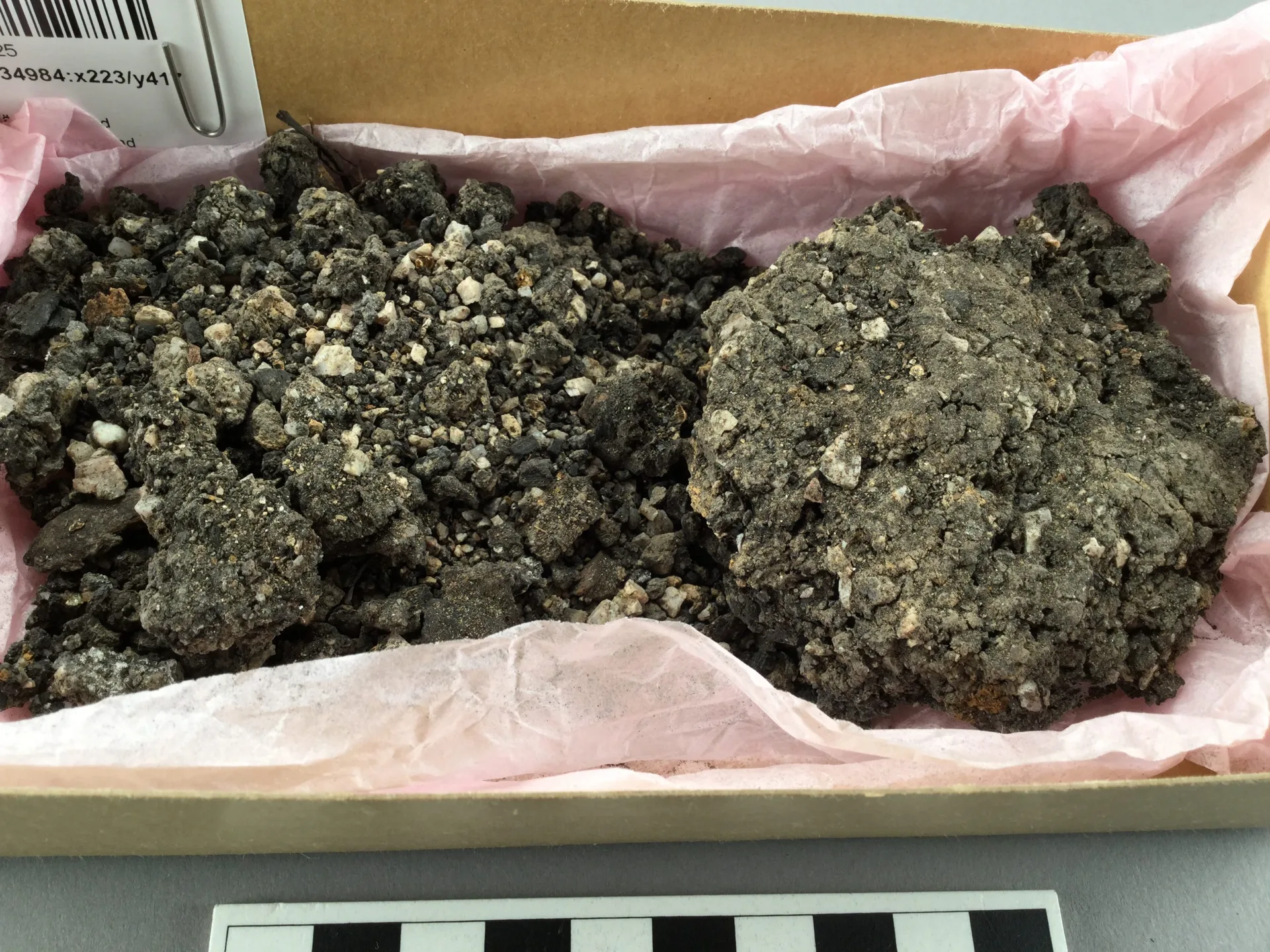 Pieces of dissolved pottery in storage box