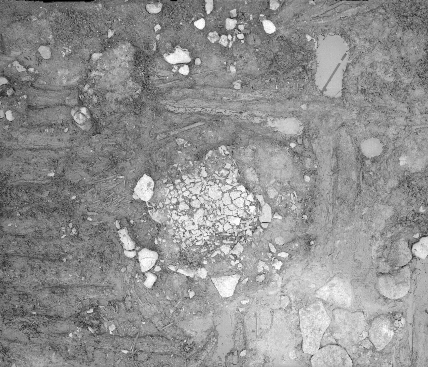 Topographic image from an excavation site