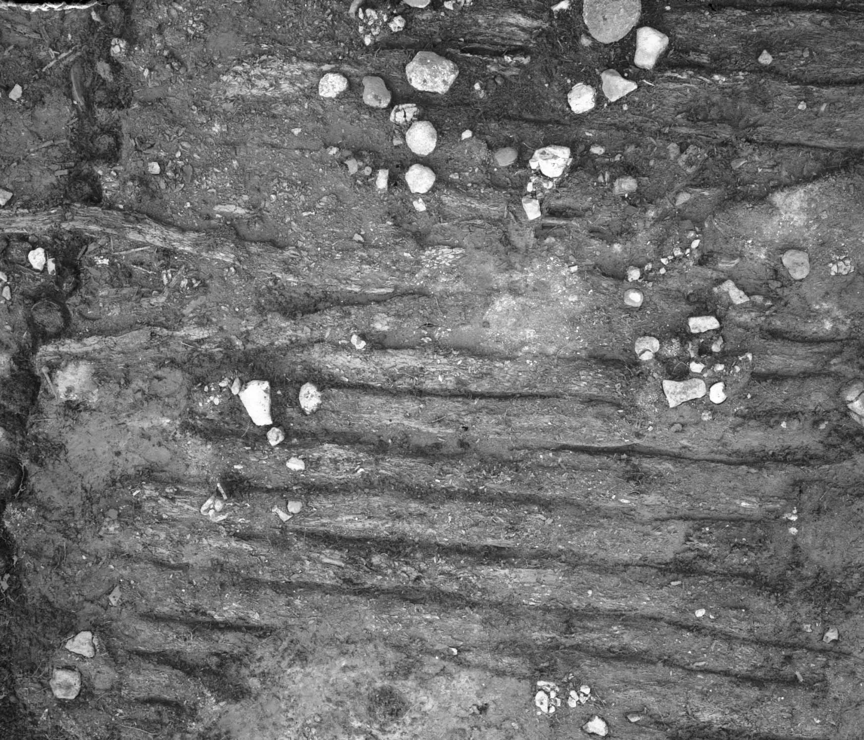 Topographic image from an excavation site