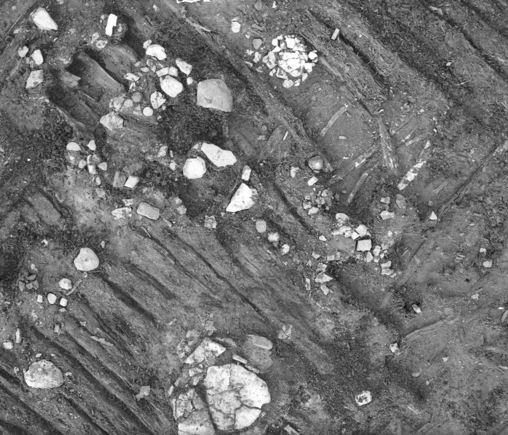 Topographic image from an excavation site