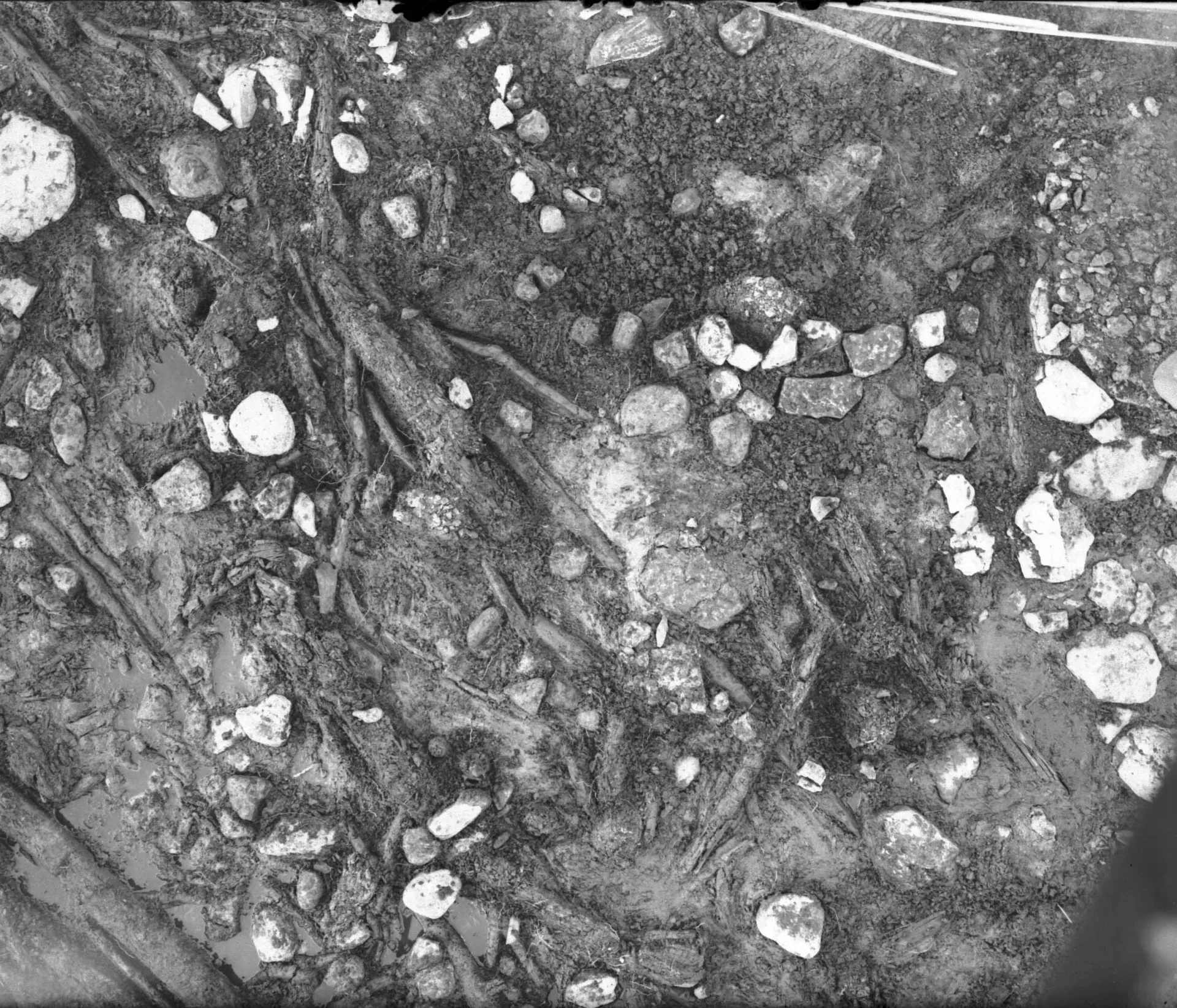 Topographic image from an excavation site