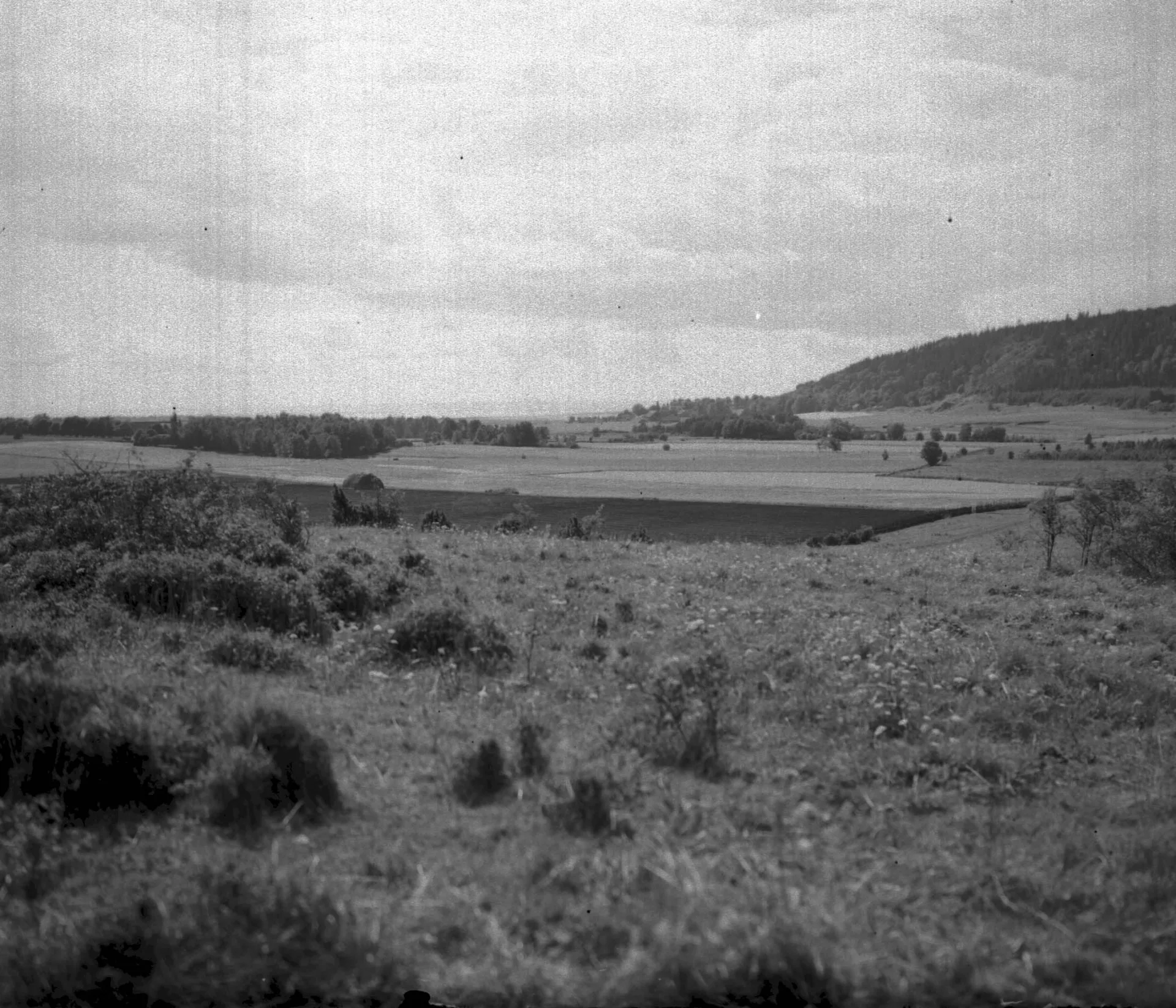 black and white photo of a field
