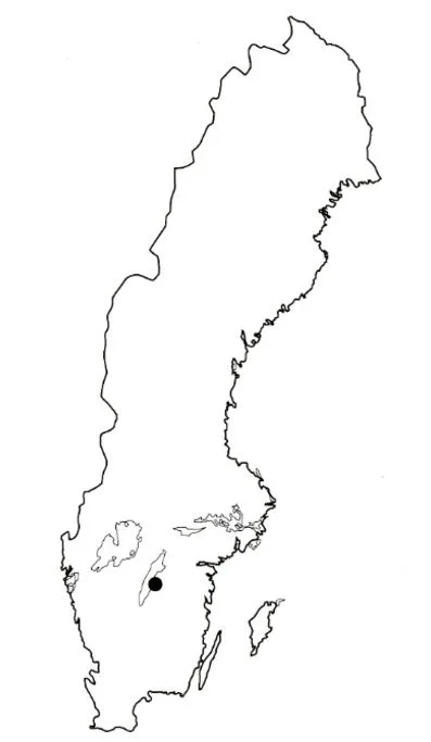 outline map of sweden