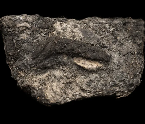 Clump of plant fibres