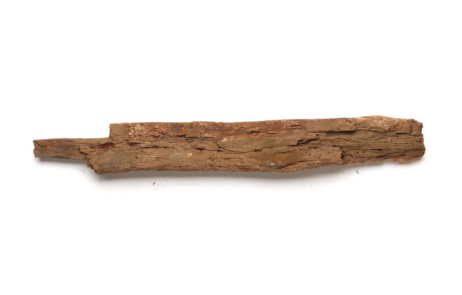 Piece of wood, possibly an oar