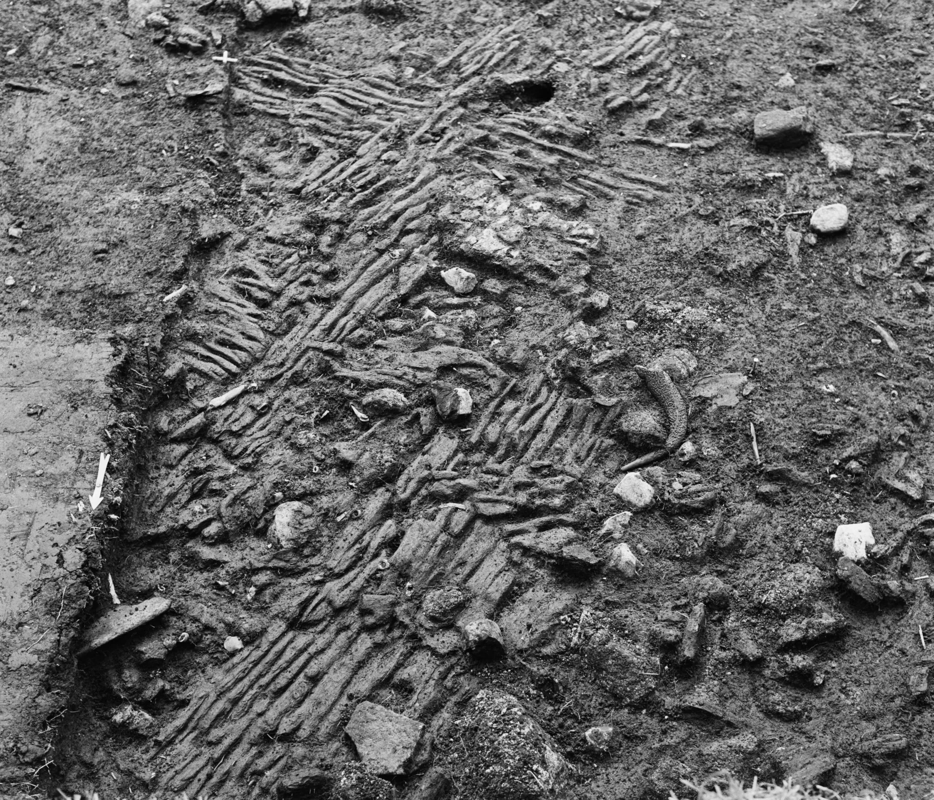 Artefacts lying in an excavation site
