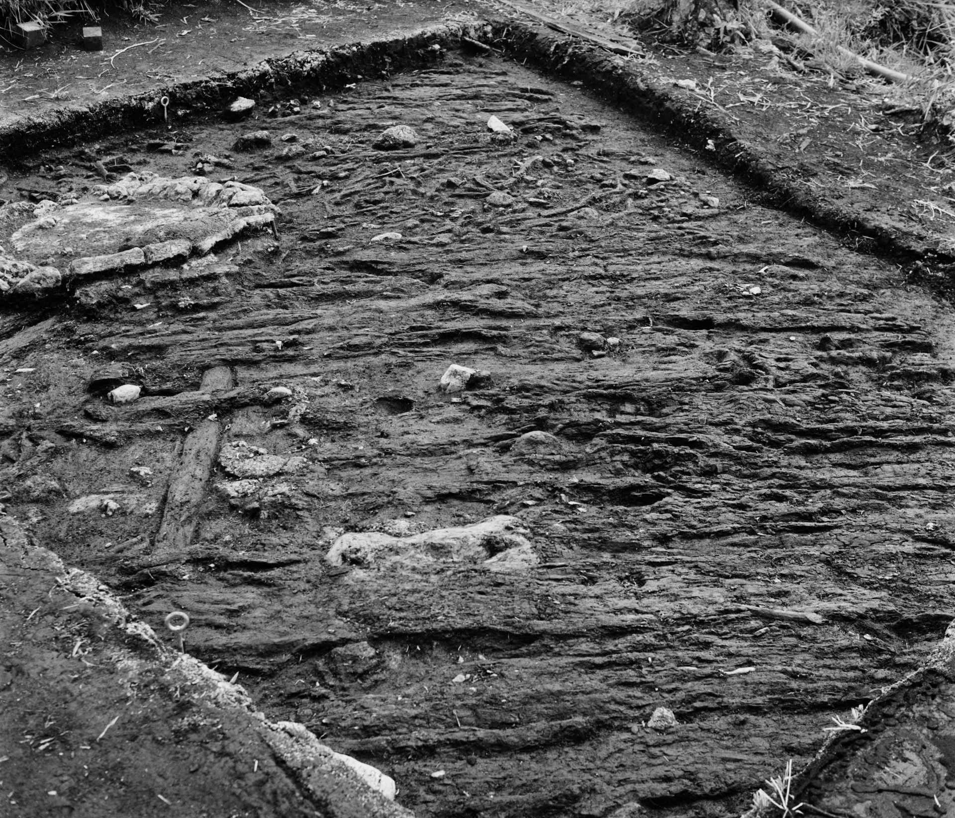 Artefacts lying in an excavation site