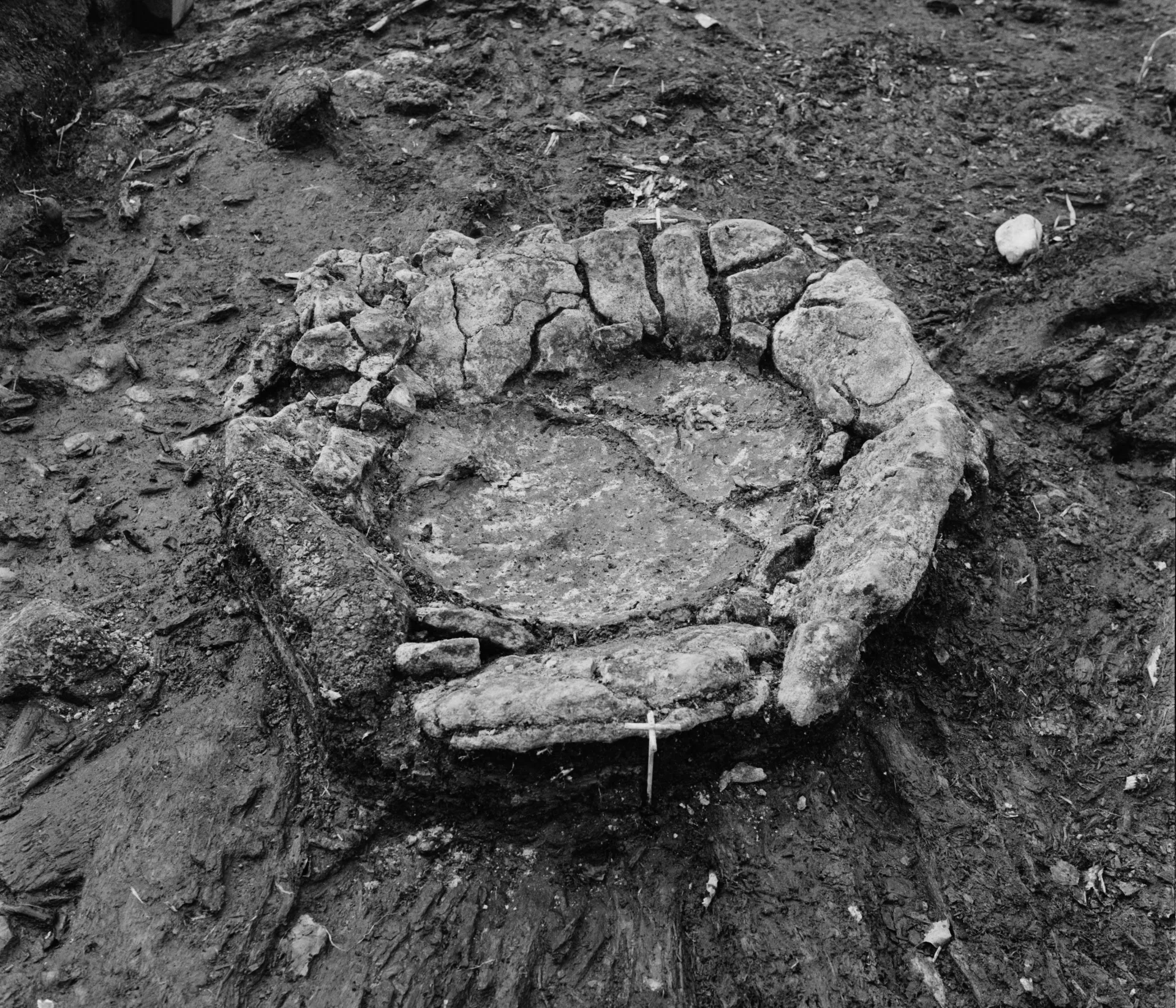 Black and white image of an bowl like structure