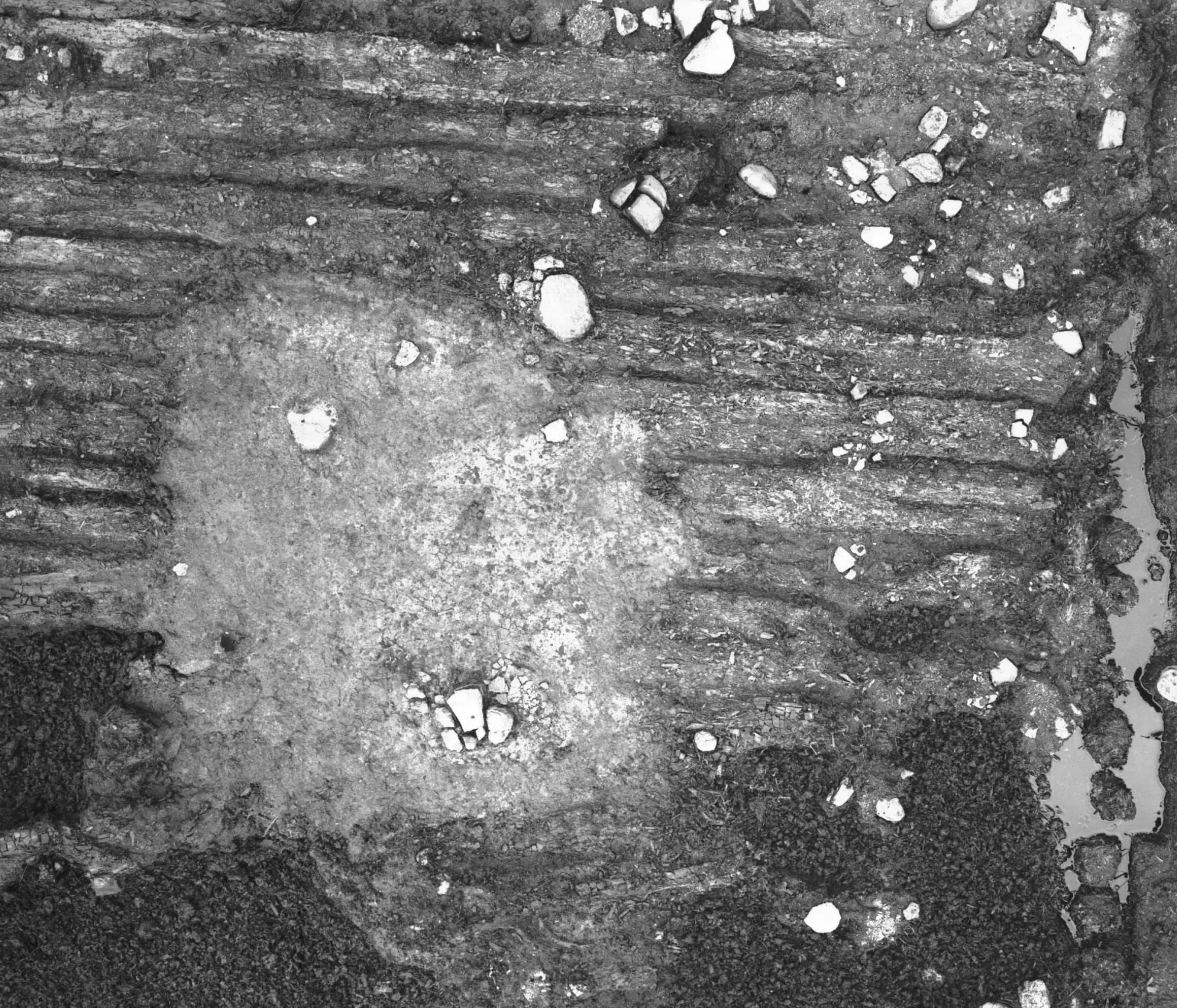 Topographic image from an excavation site