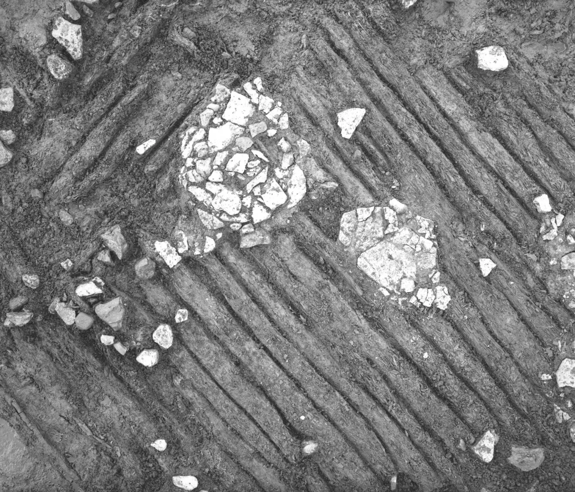 Image from an on-going excavation