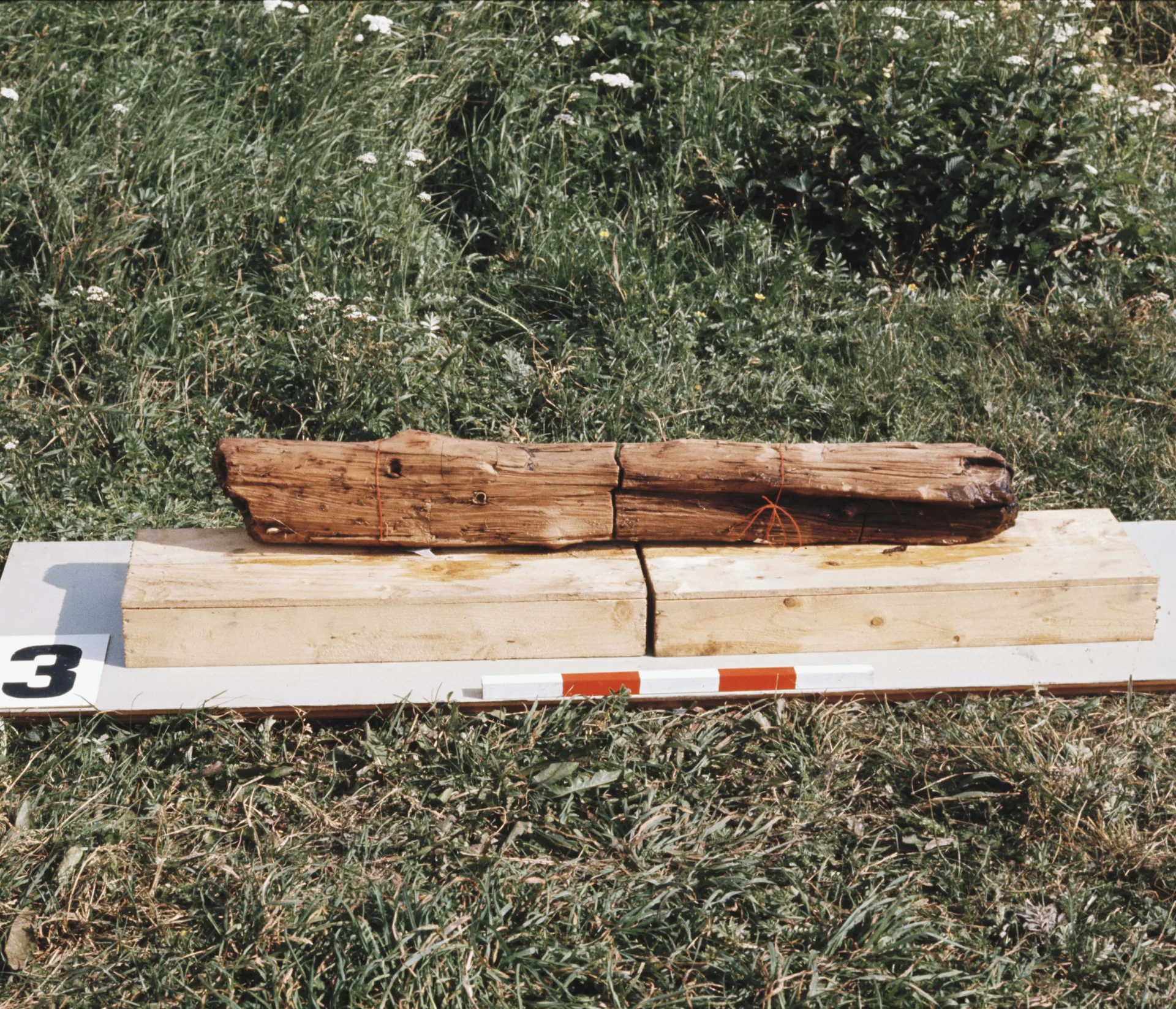 Image from an on-going excavation