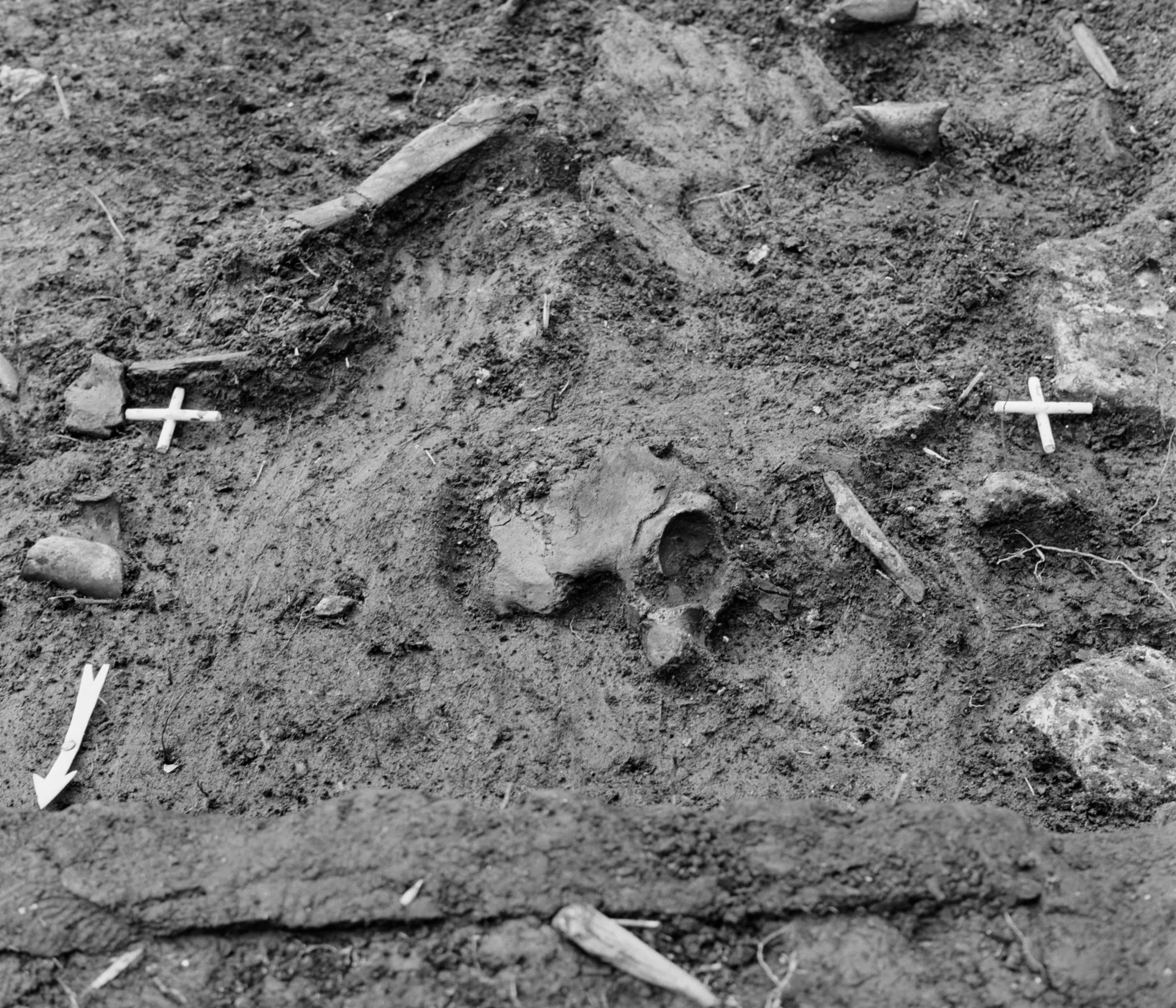 photo of wooden objects in a trench