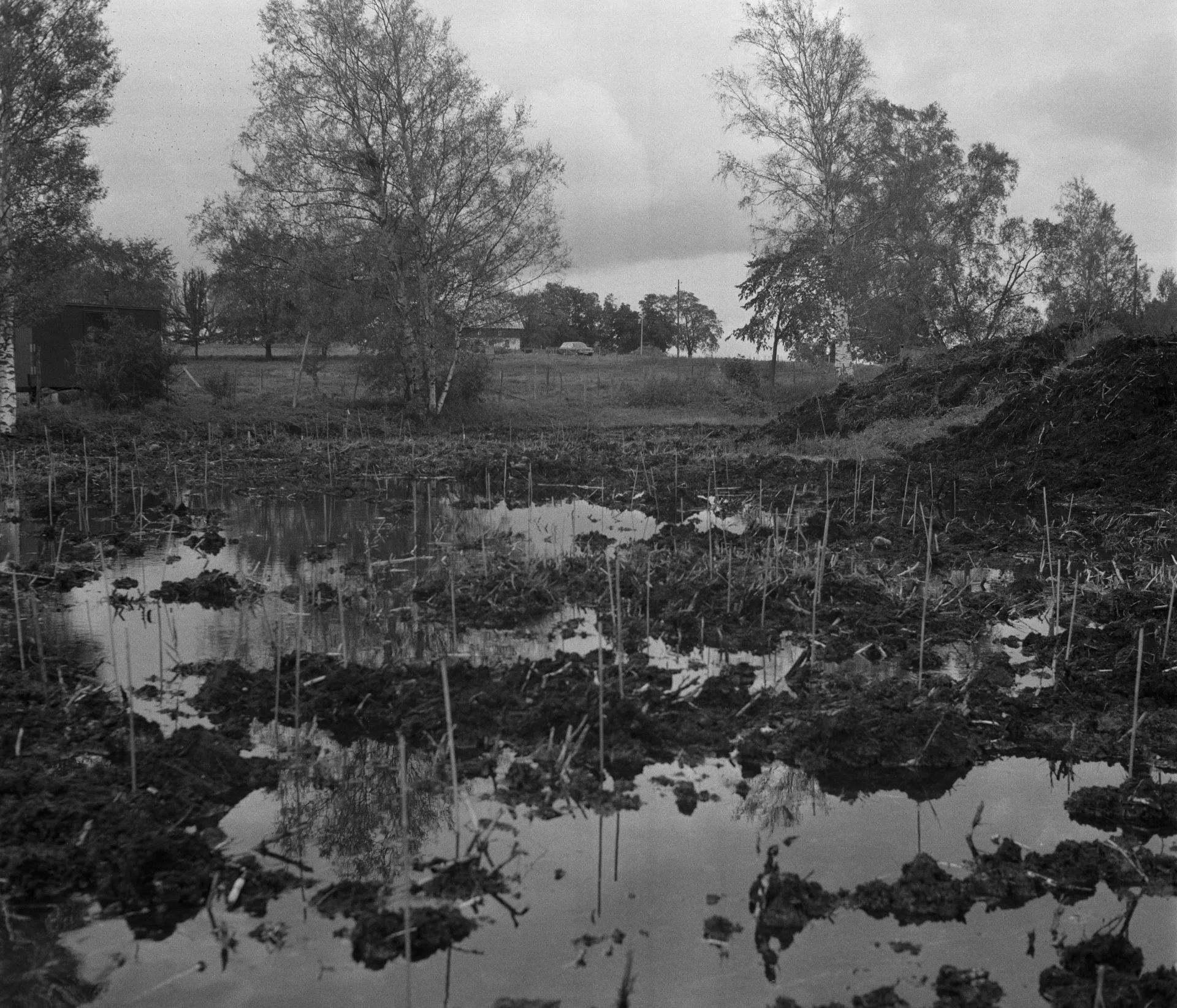 Field filled with water