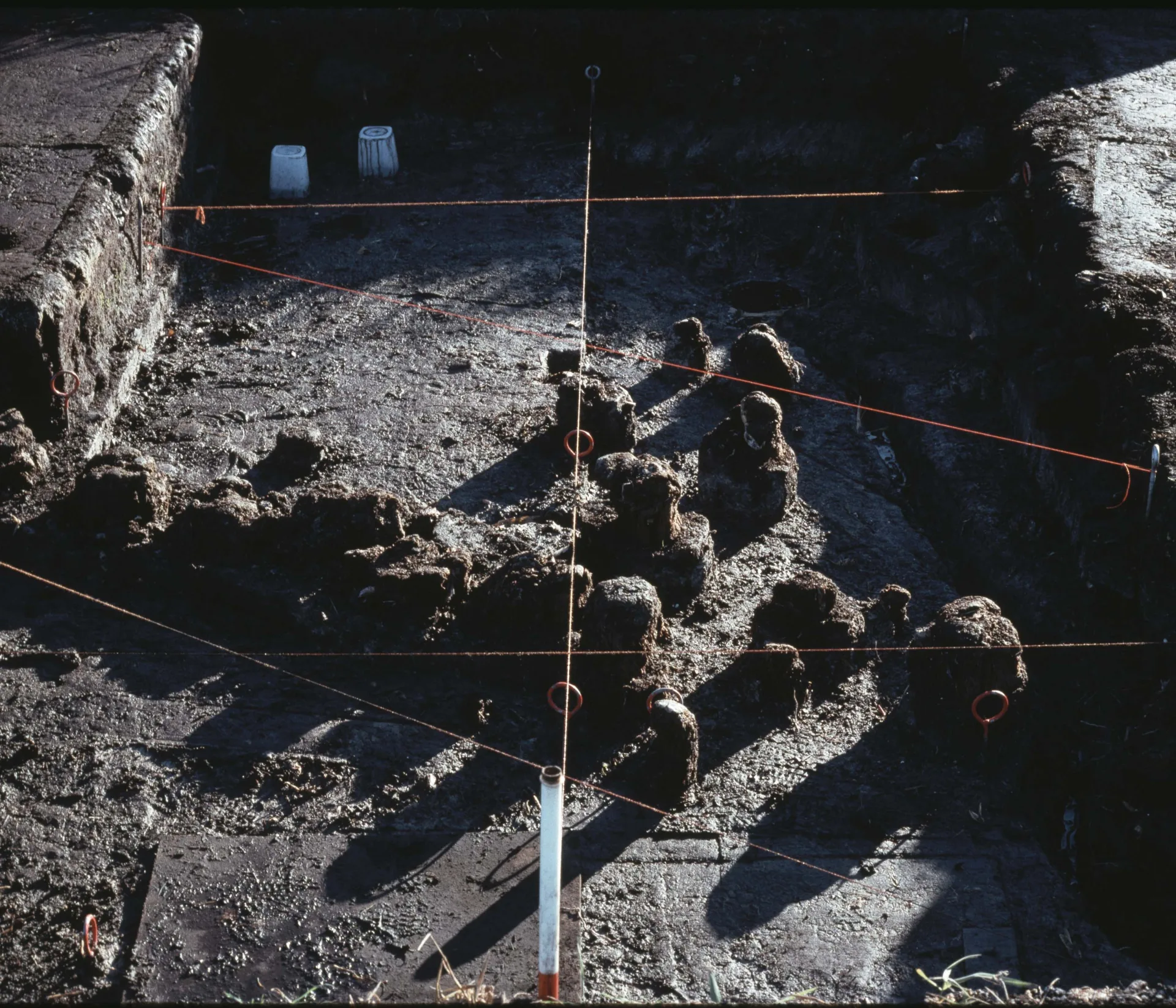 wooden piles in a digging site