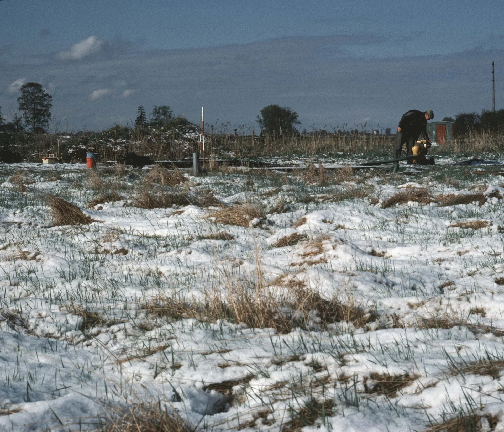 field covered with snow