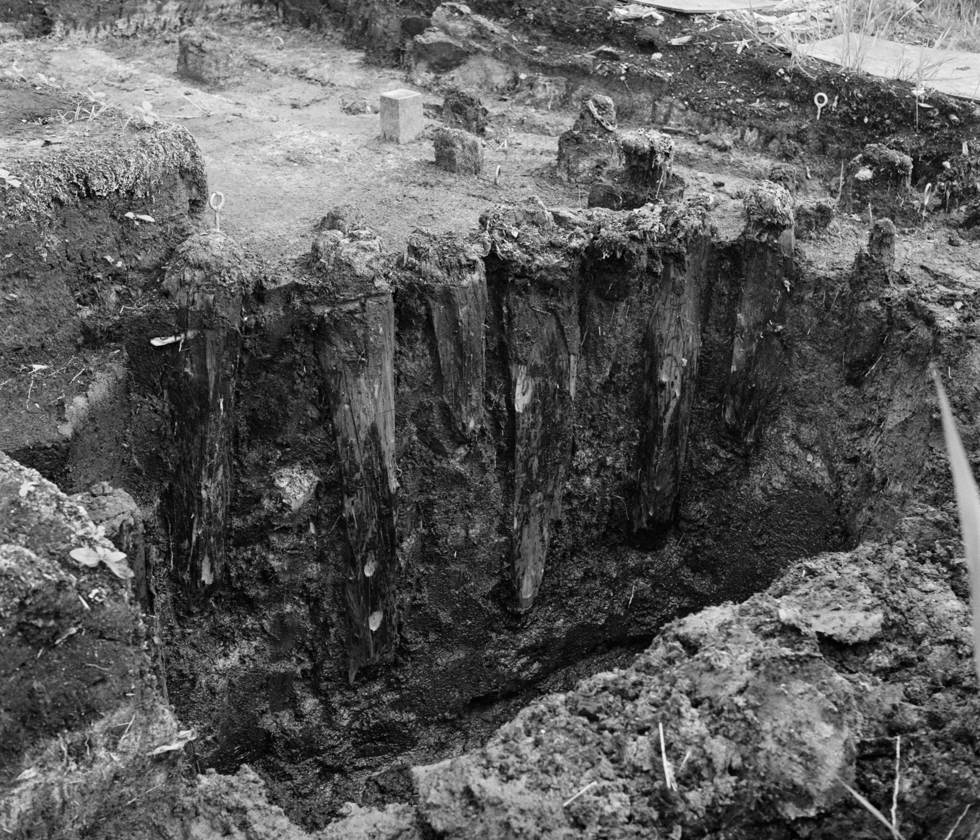 wooden piles in a digging site
