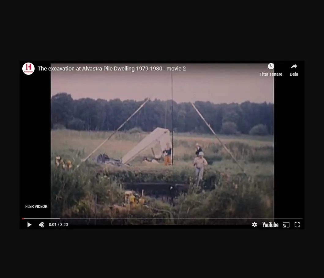 Sceenshot from a film of the Alvastra pile dwelling