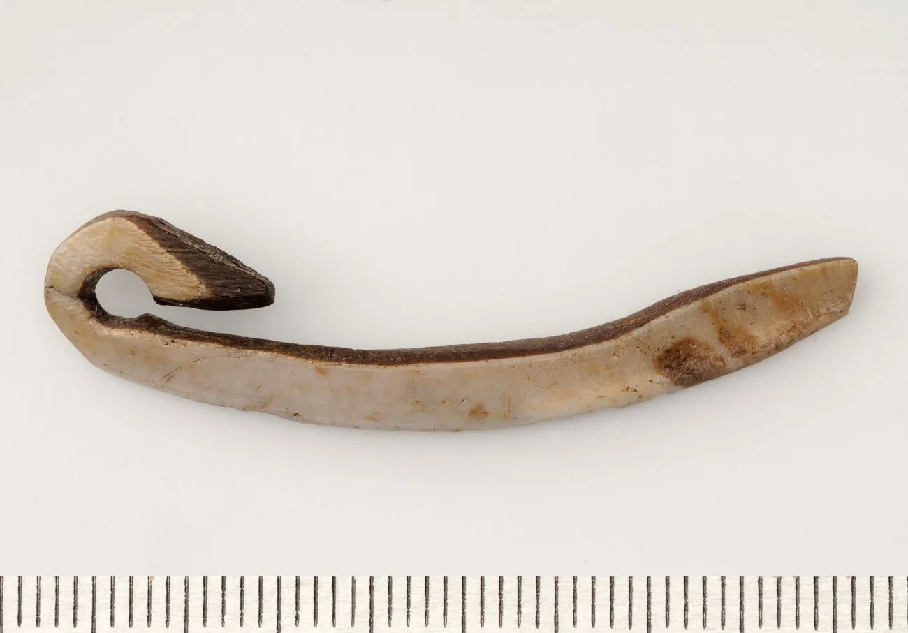 Fishing hook made of boar tusk