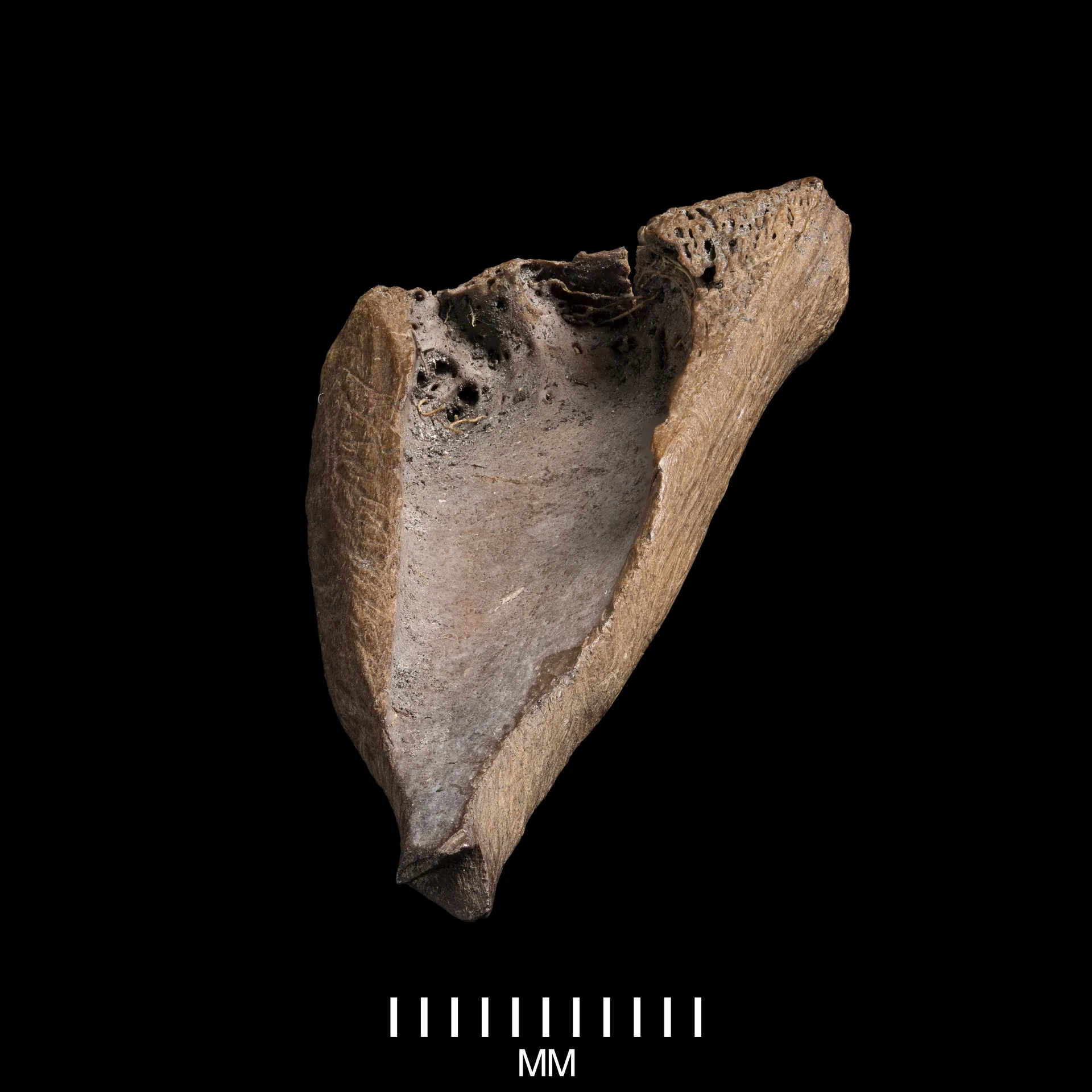 Small awl made of bone