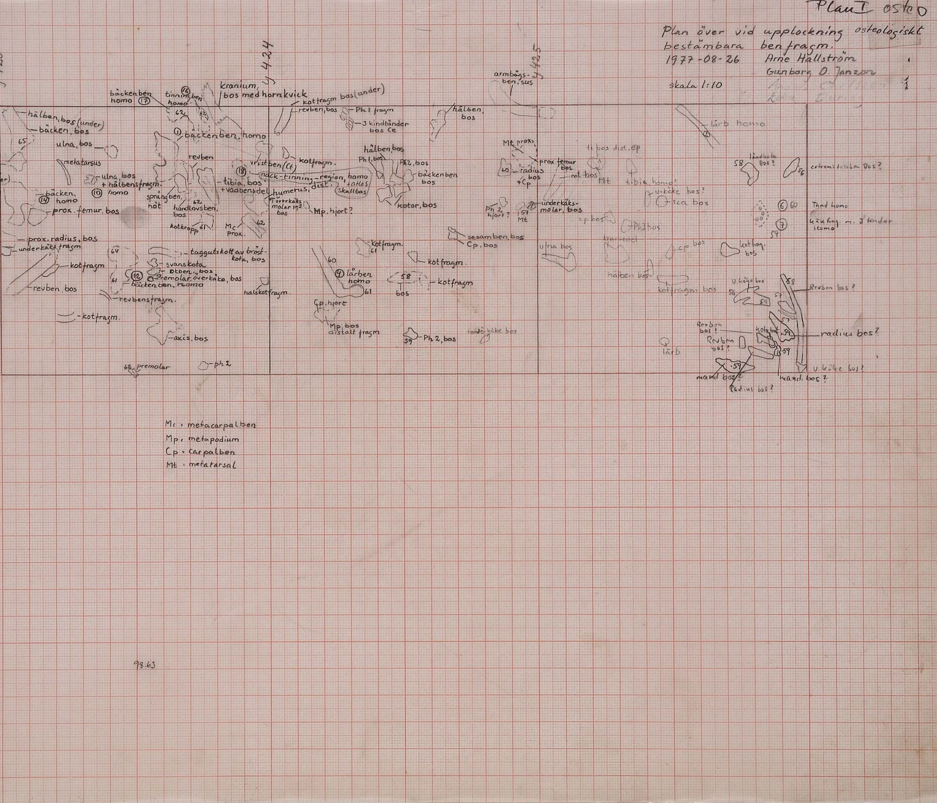 topographic field drawing of excavations sites