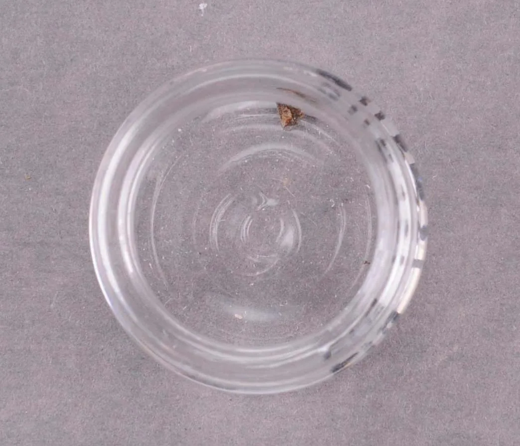 Insect specimen in storage unit