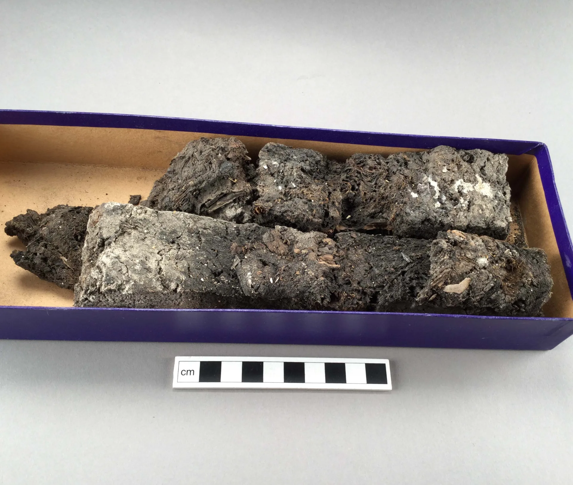 Samples in storage box