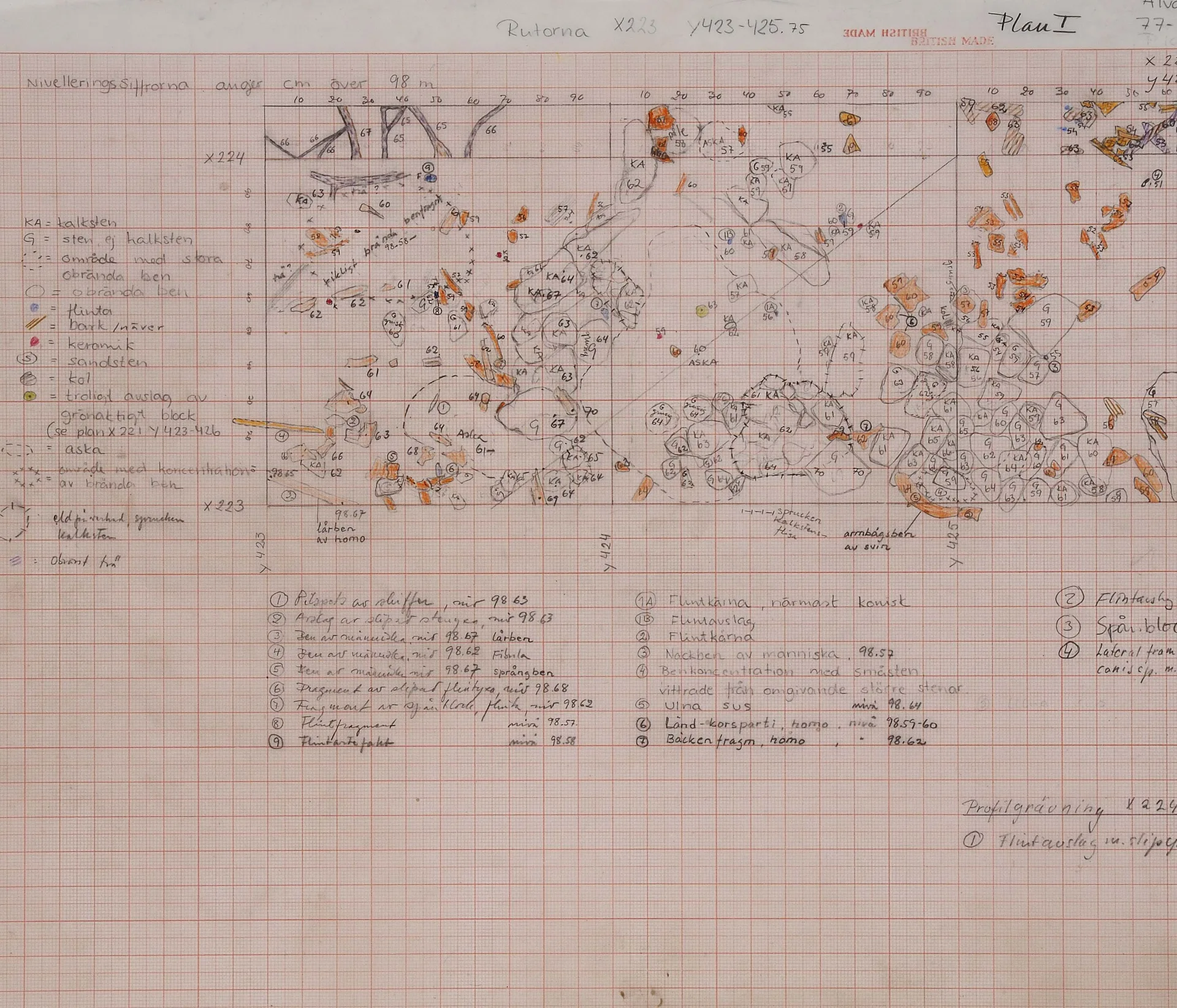 topographic field drawing of excavations sites