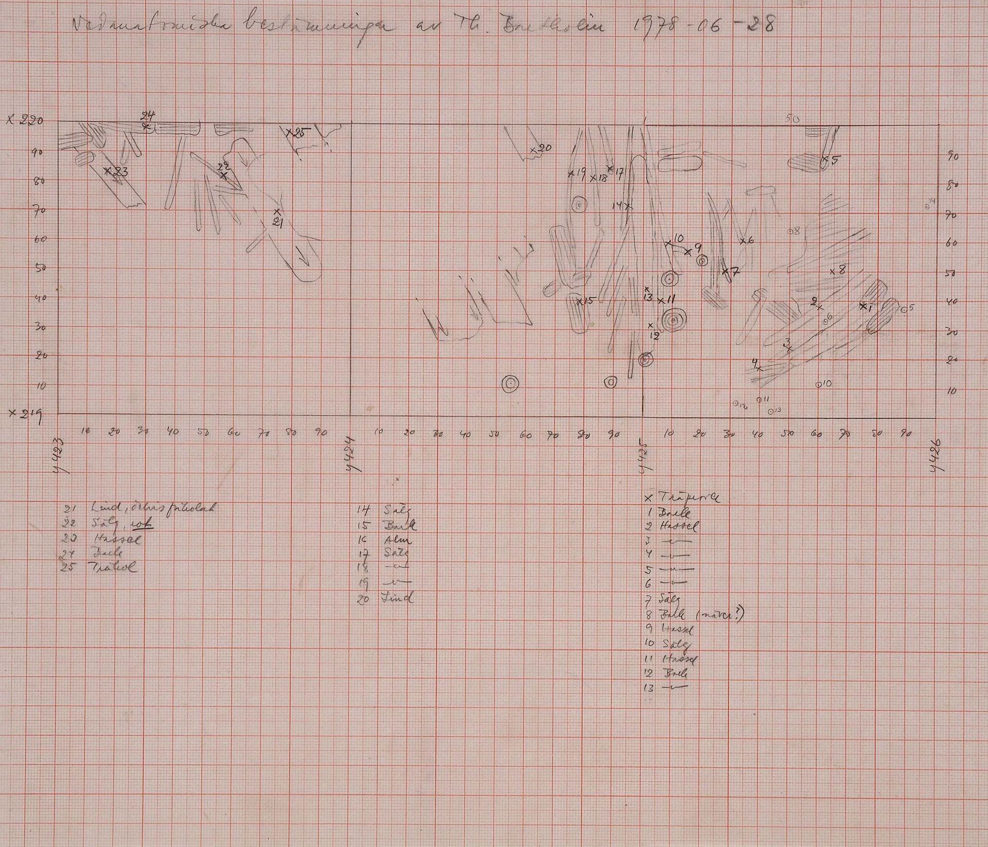 topographic field drawing of excavations sites