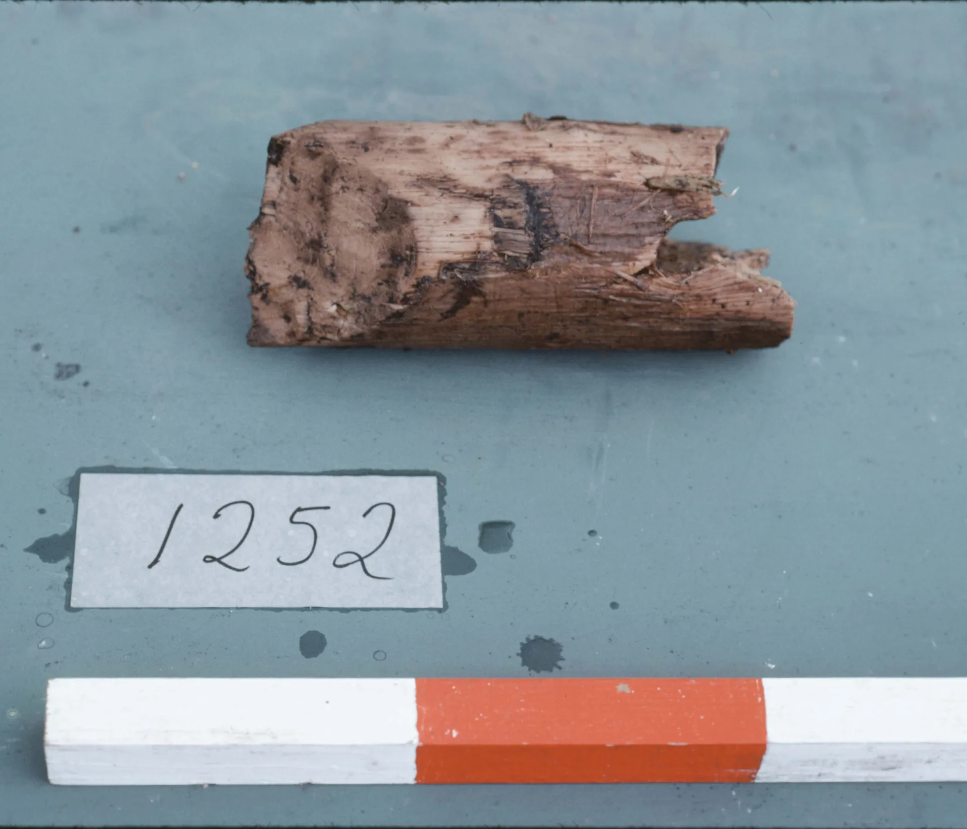 Wooden part with a measure tape