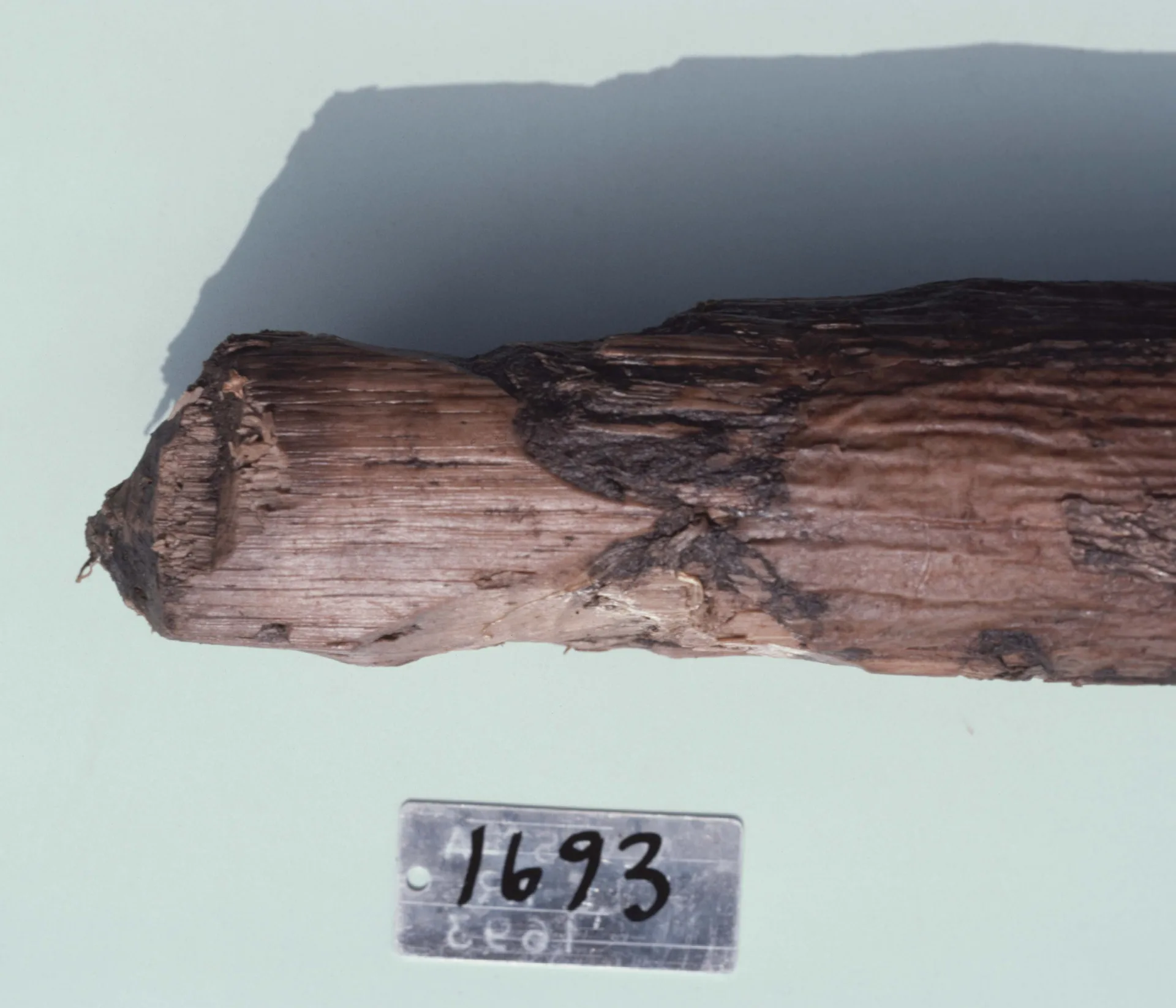 Wooden part with a measure tape